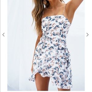 Taya Sabo Skirt Dress